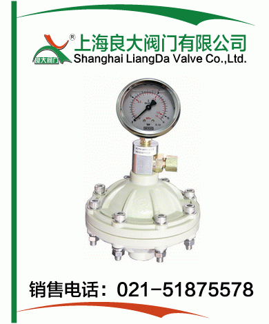 PP、PVDF脈沖阻尼器